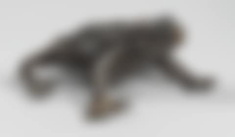 CRAPAUD (preview)