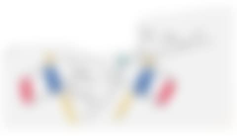 LA COLOMBE AVEC DEUX DRAPEAUX TRICOLORES (preview)
