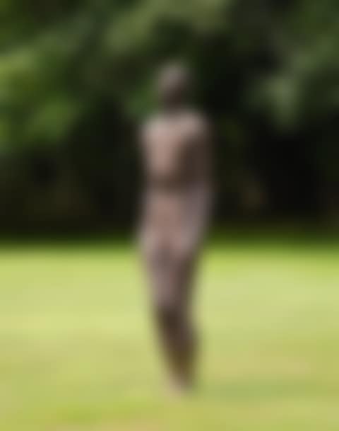 DIAPHRAGM III (preview)