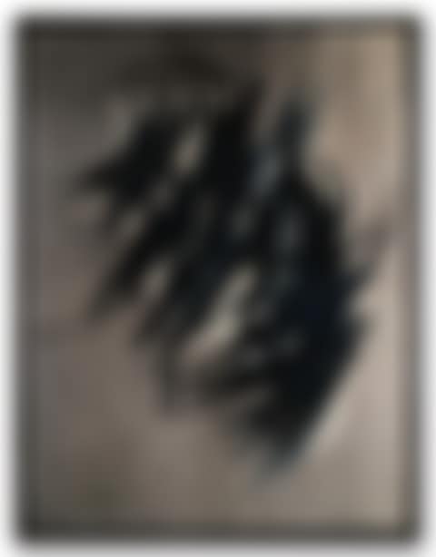 T1956-13 (preview)