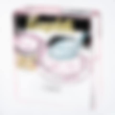 CAMPBELL'S SOUP BOX: ONION  (preview)