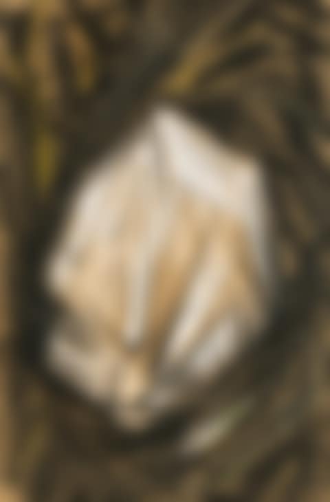 MIRROR (preview)