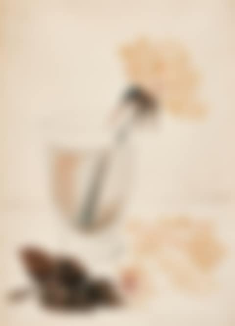 ROSE IN A JAR (preview)