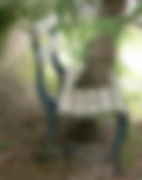 PINE TREE IN A BENCH (preview)