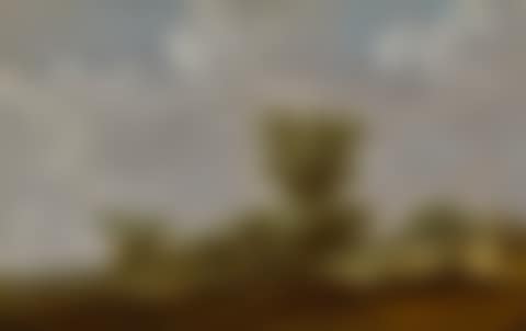 DUNE LANDSCAPE (preview)