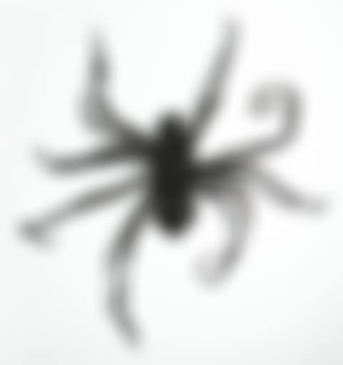 SPIDER IV (preview)