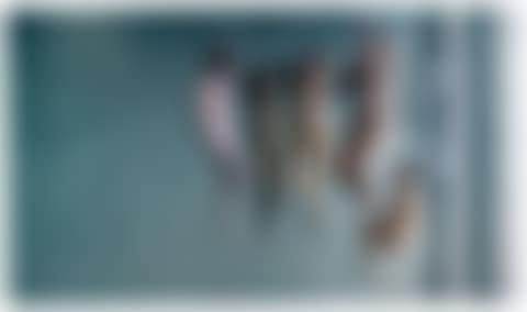SENORITAS SUICIDO (preview)