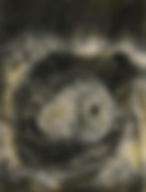 A FANTASTIC ANATOMICAL STUDY OF AN EYE (preview)