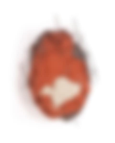 Rudis (preview)