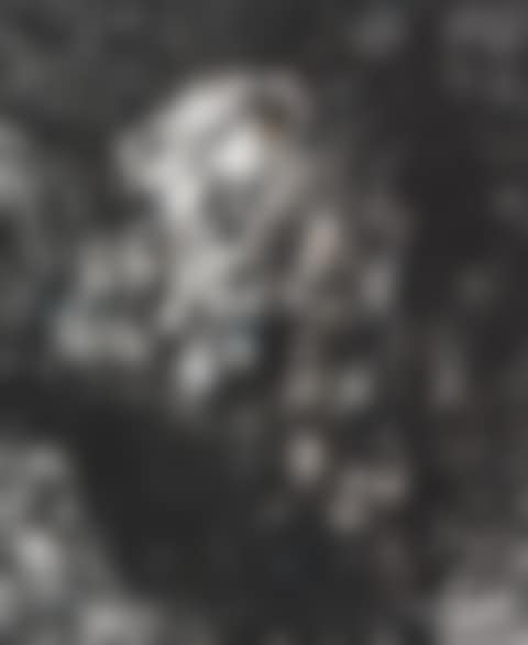 Ohne Titel (aus: Gesichter mit Goya) (preview)
