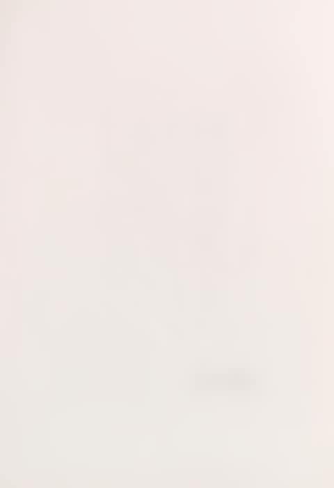 Ohne Titel (preview)