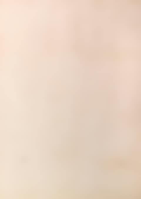 Ohne Titel (preview)