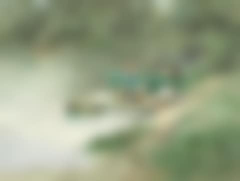 Washerwomen by a river bank (preview)