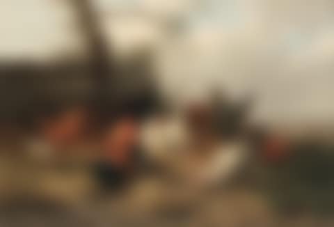 Farmyard fowl (preview)