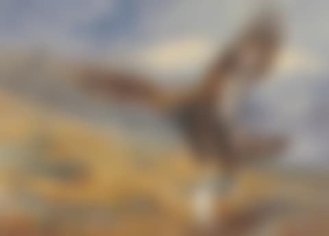 The eagle's stoop': a golden eagle snatching a ptarmigan (preview)