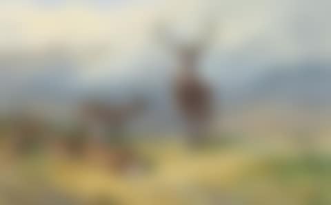 Monarch of the Glen' (preview)