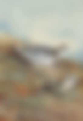A pair of ptarmigan in mid-plumage (preview)