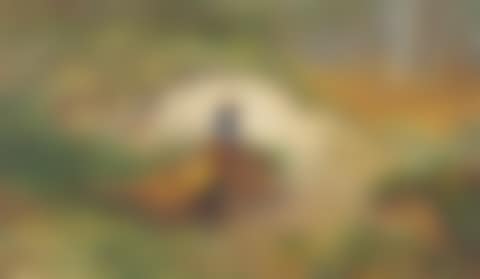 Pheasant in a late autumn woodland landscape (preview)