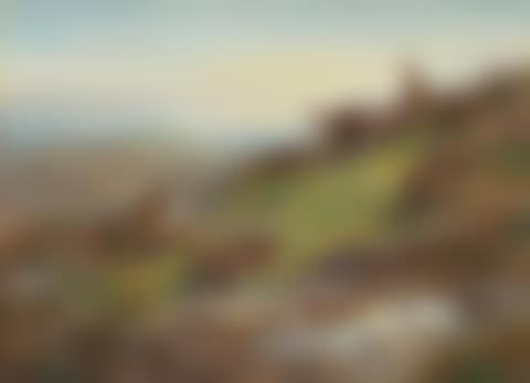 A covey of red grouse by a spring (preview)