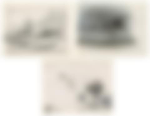 Seven sketchbooks of natural history studies, the majority of birds, some otters, some landscapes at Kelso, one study of a dog entitled 'Suspense' and also including studies after the antique, and life studies (preview)