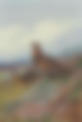 A pair of red grouse amongst heather (preview)