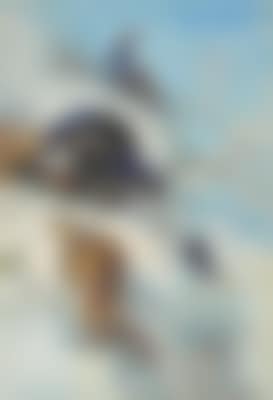 Blackgame in the snow (preview)