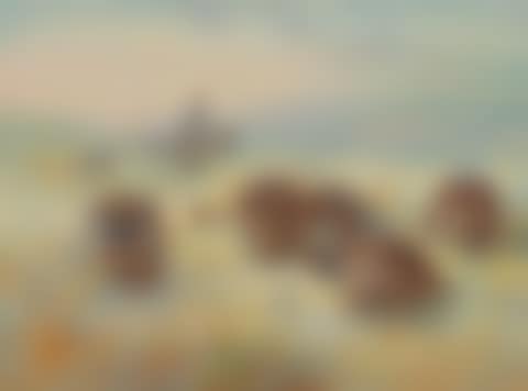 A frosty dawn' (preview)