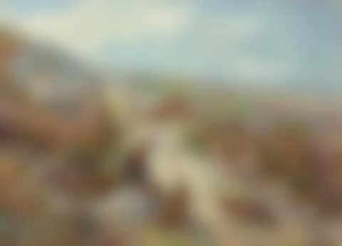 A covey of eleven red grouse beside a sheep track (preview)