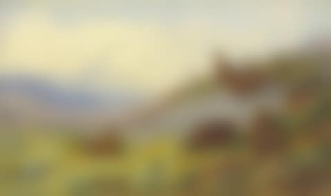 A covey of red grouse on the moor (preview)