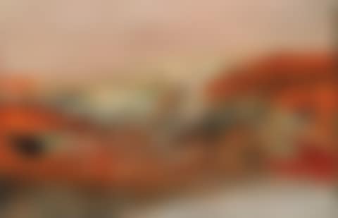 01.05.70 (preview)