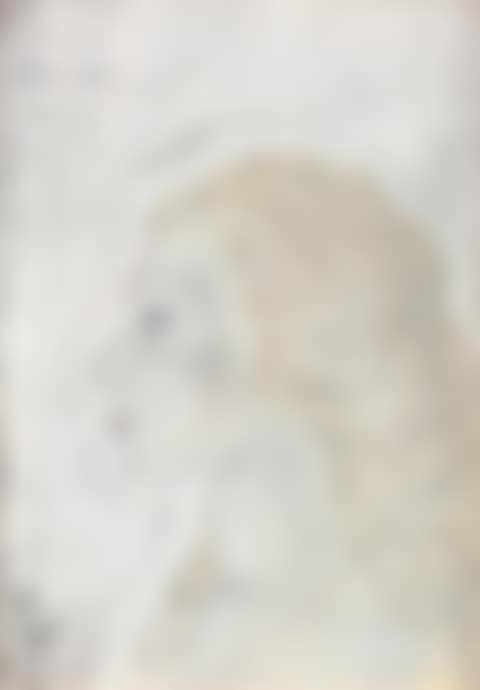 Side Portrait Of Lady (preview)