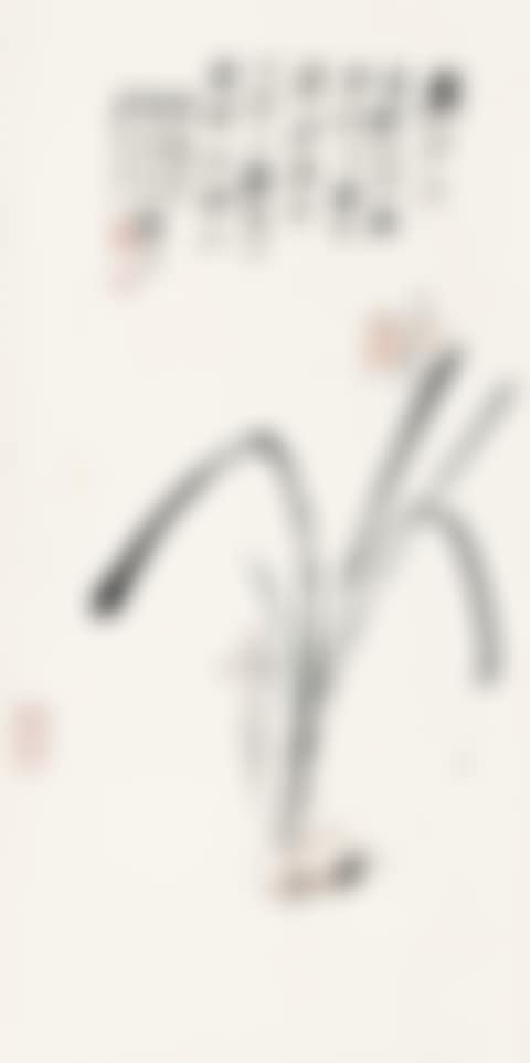 Narcissus (preview)