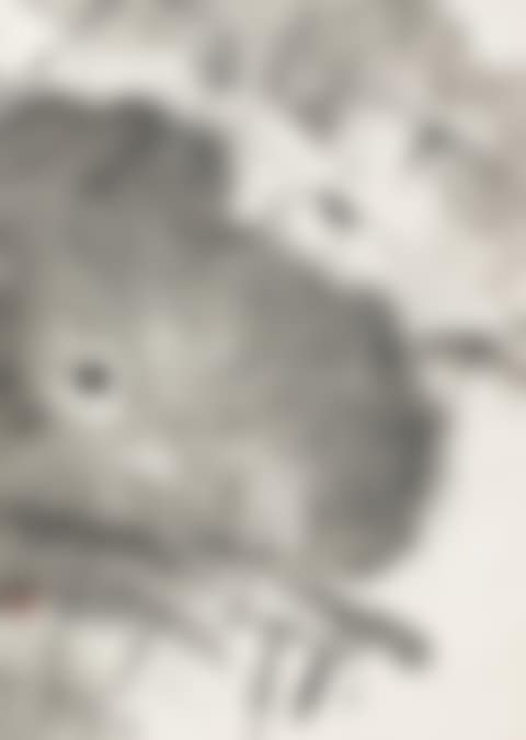 Lotus (preview)