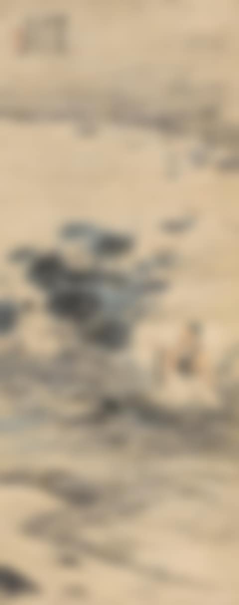 Lotus (preview)