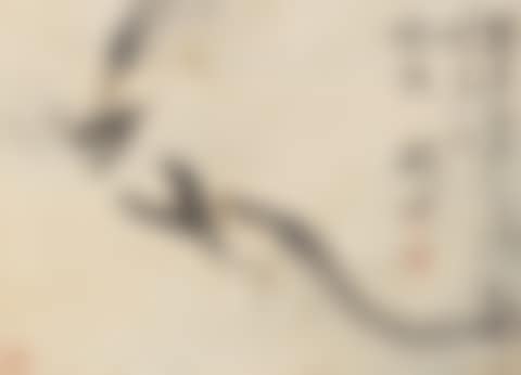 Fish (preview)
