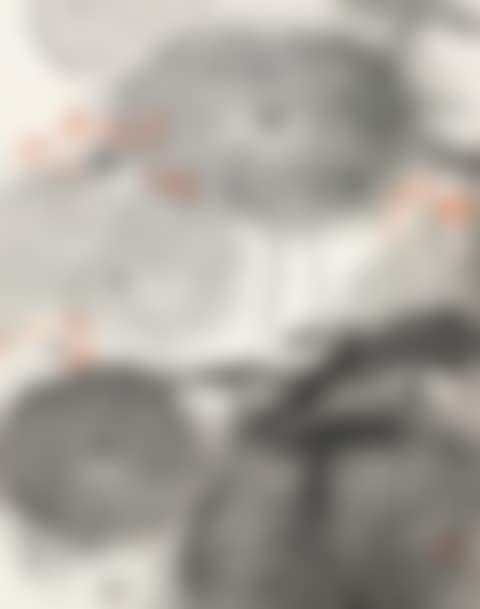 Pond (preview)