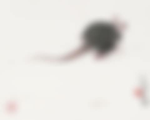 Mouse (preview)