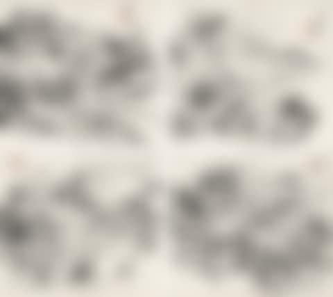 Landscape Sketching (preview)