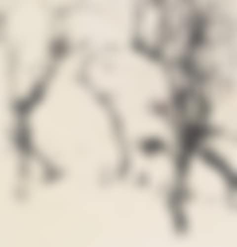 Spring (preview)