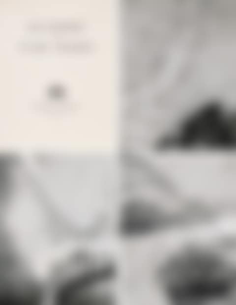 Les Poemes De T'ao Ts'ien (preview)