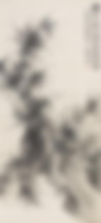 Bamboo And Stone (preview)