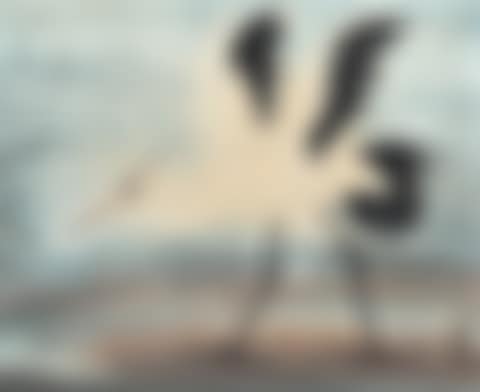 Egret (preview)