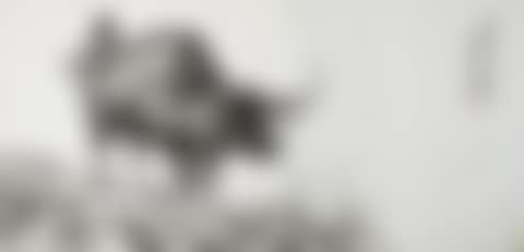 Ox (preview)