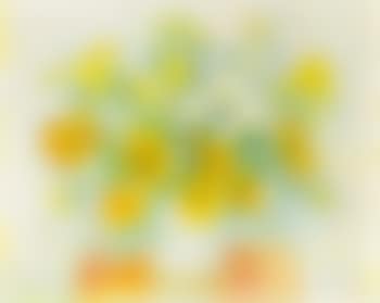 Fleurs , (preview)