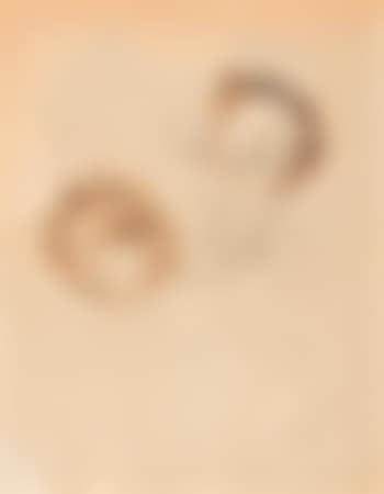 Portrait of a Woman , (preview)