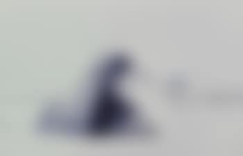 Untitled ,
1997 (preview)