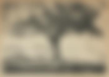 The Tree ,
1928 (preview)