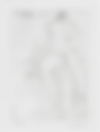 Femme Nue (pl. 244 from Series 347) ,
1968 (preview)