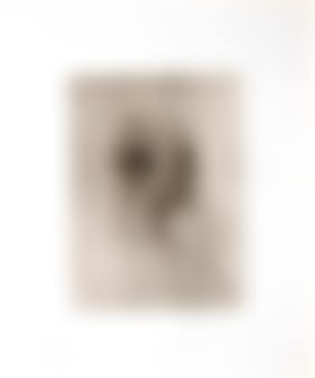 Antonin proust ,
1907 (preview)