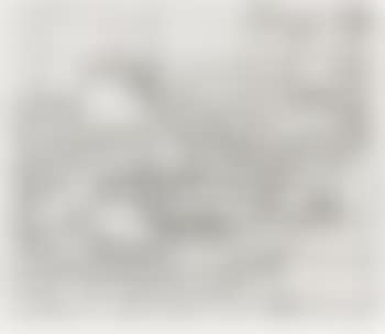 Untitled (pl. 2, from 41 Etchings, Drypoints) ,
1964 (preview)